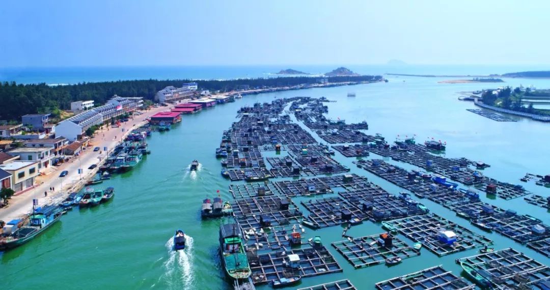 美美美！海南这几家新增的“金宿级”民宿，你想要的诗和远方都有