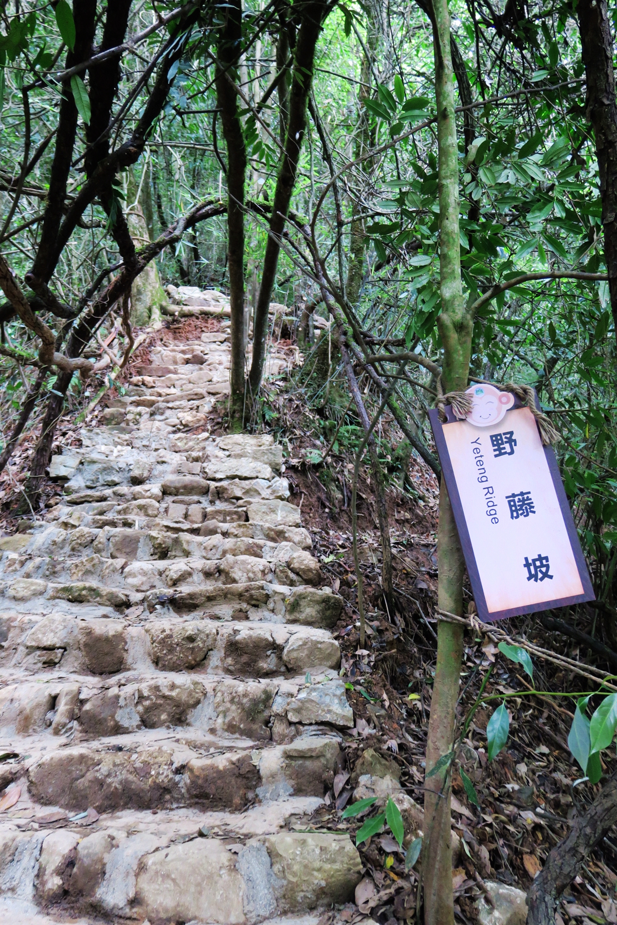猴山飞瀑,猴山飞瀑旅游区地图