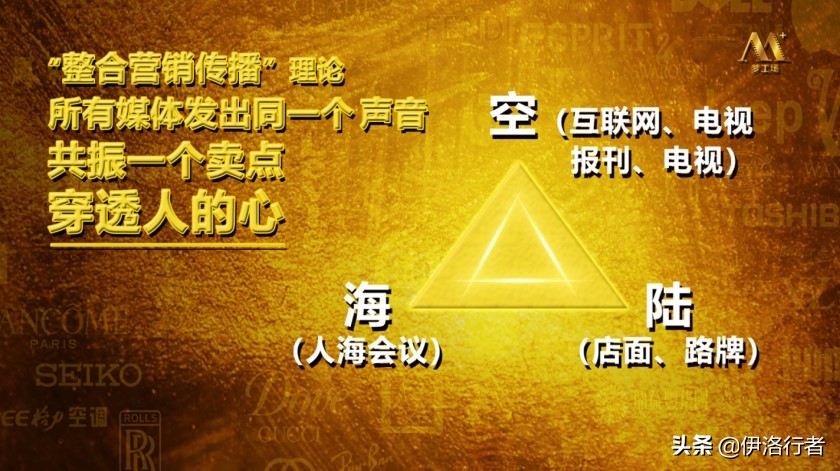 品牌专家王阳,中国品牌策划大师王阳简介图片