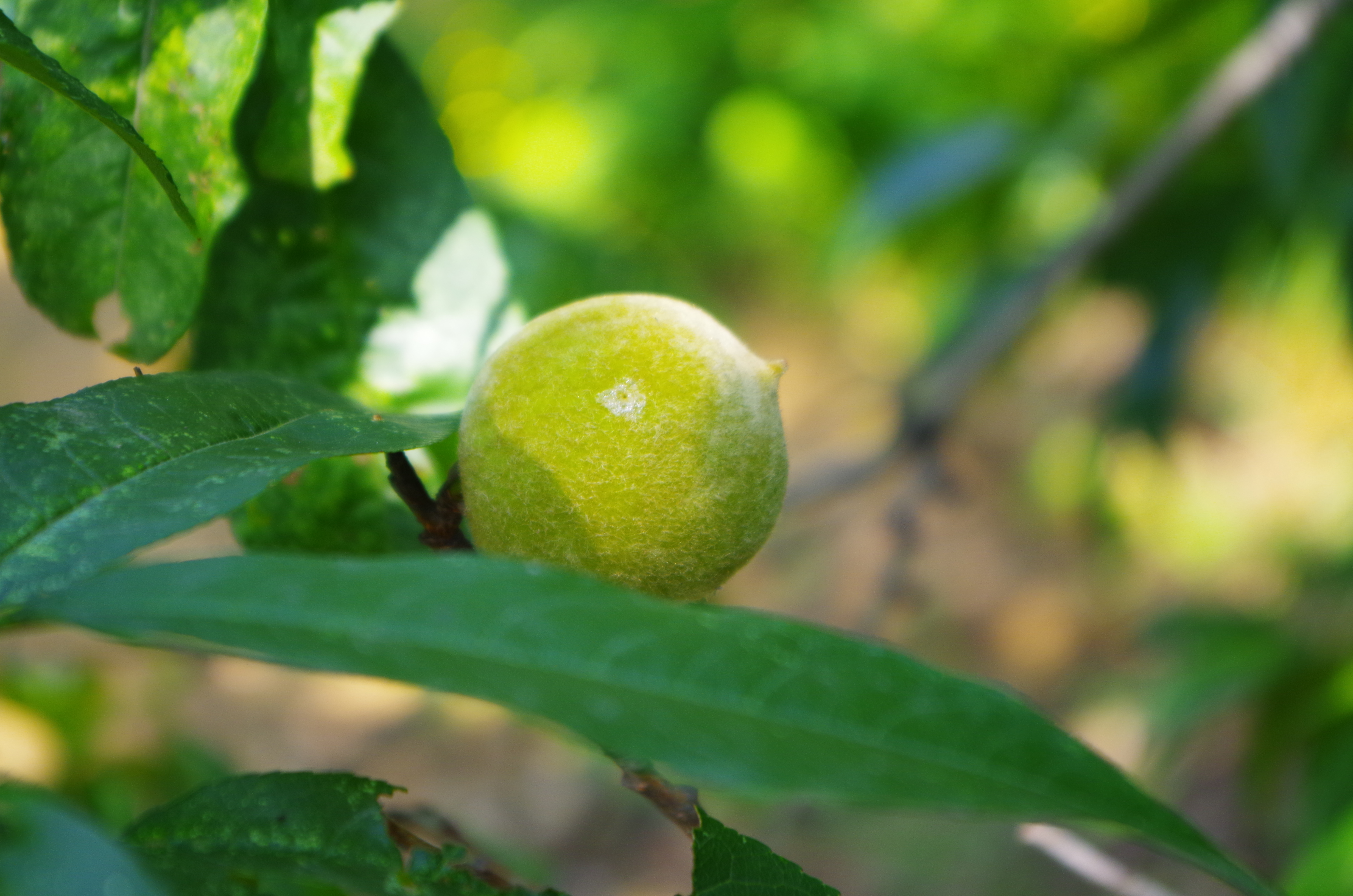 石家庄清凉山游玩需要多长时间,清凉山爬山详细爬山攻略