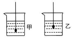 八年级物理自制密度计,物理八年级下册物理密度知识点