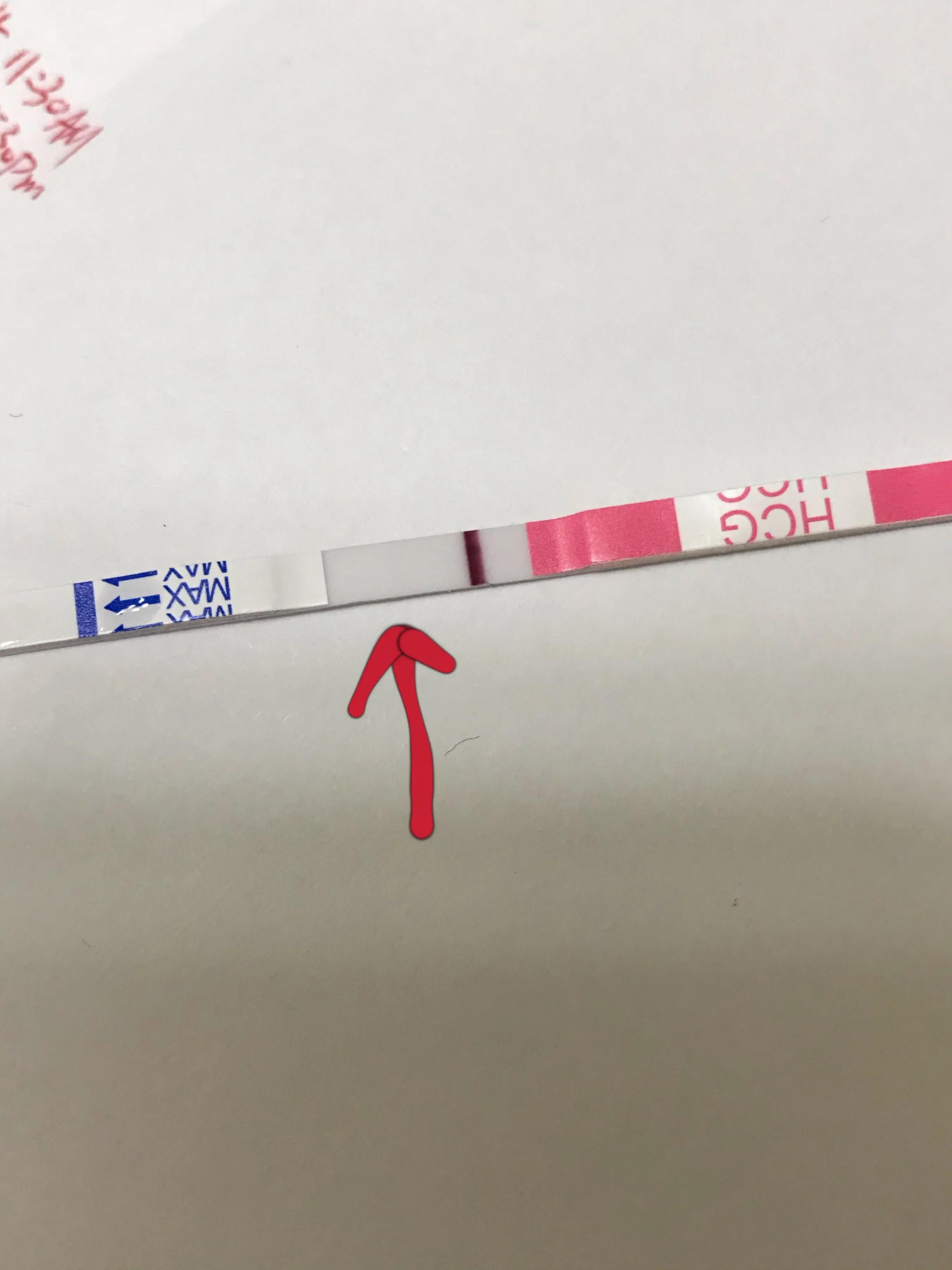 孕期记录生活中的小美好,孕期小视频记录