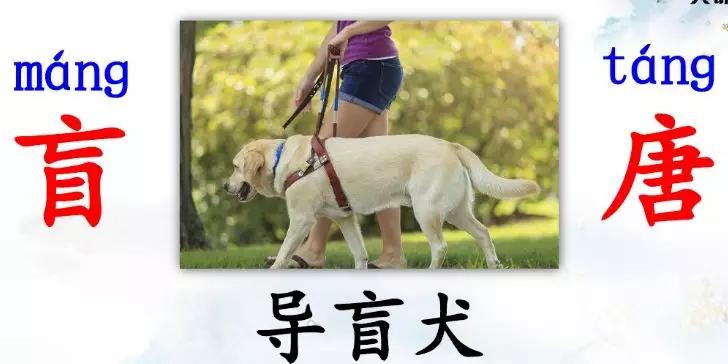 部编版小学语文上册课后习题答案,小学三年级上册语文5.3全优卷答案