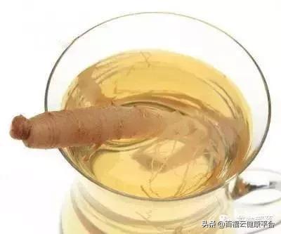 每周一药人参的功效,每天认识一味药人参