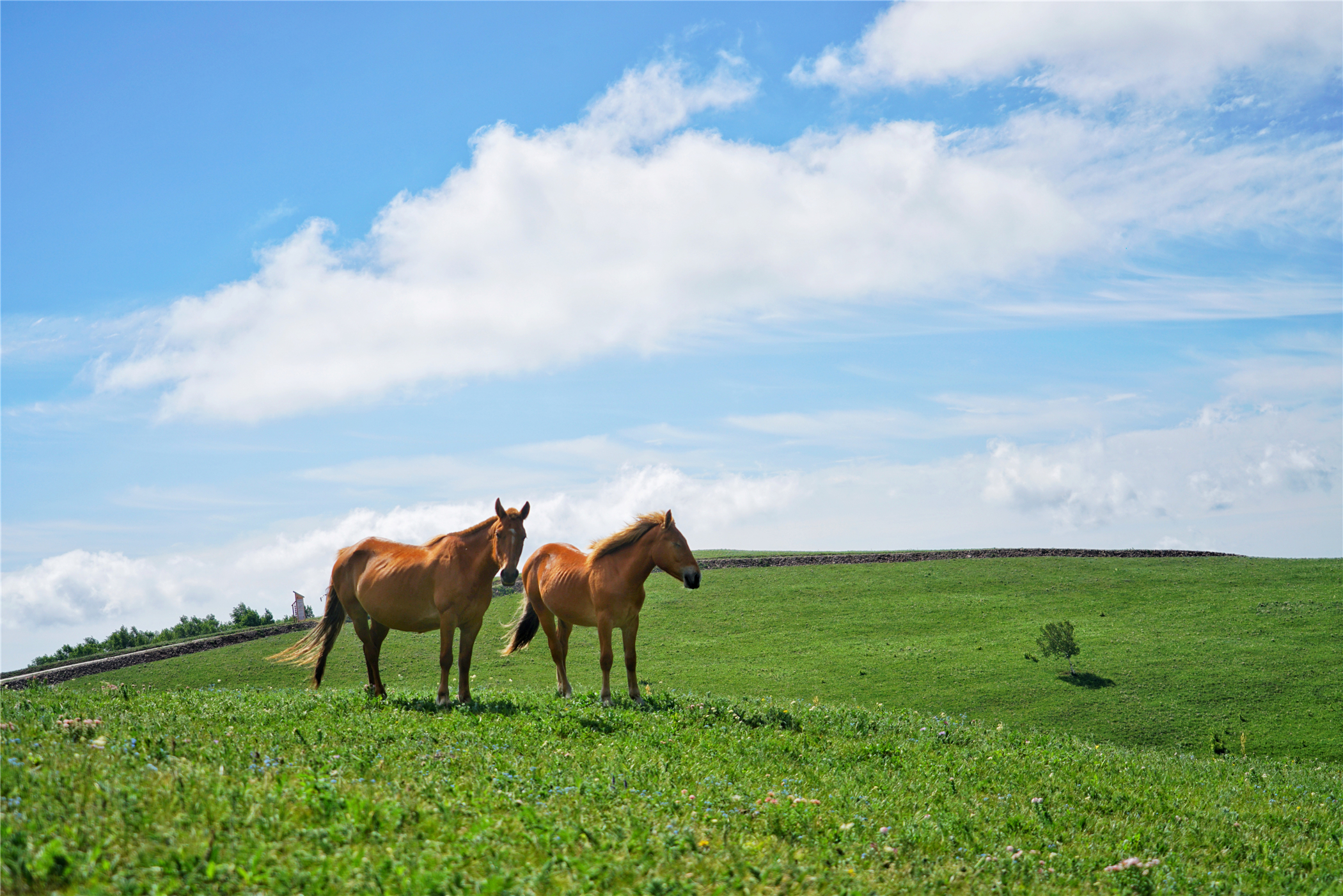 北京自驾避暑旅游攻略,2天一夜避暑胜地自驾游大盘点