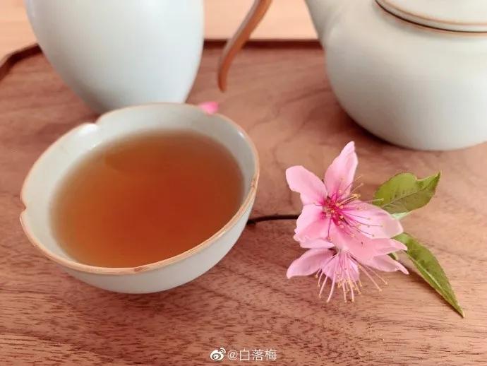 白落梅|仿佛三千年前的春天，正缓缓走来