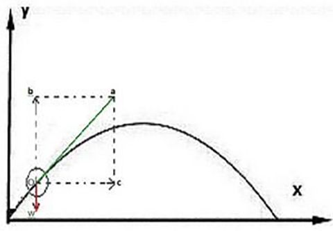 球类抛物线,弧线球的物理原理