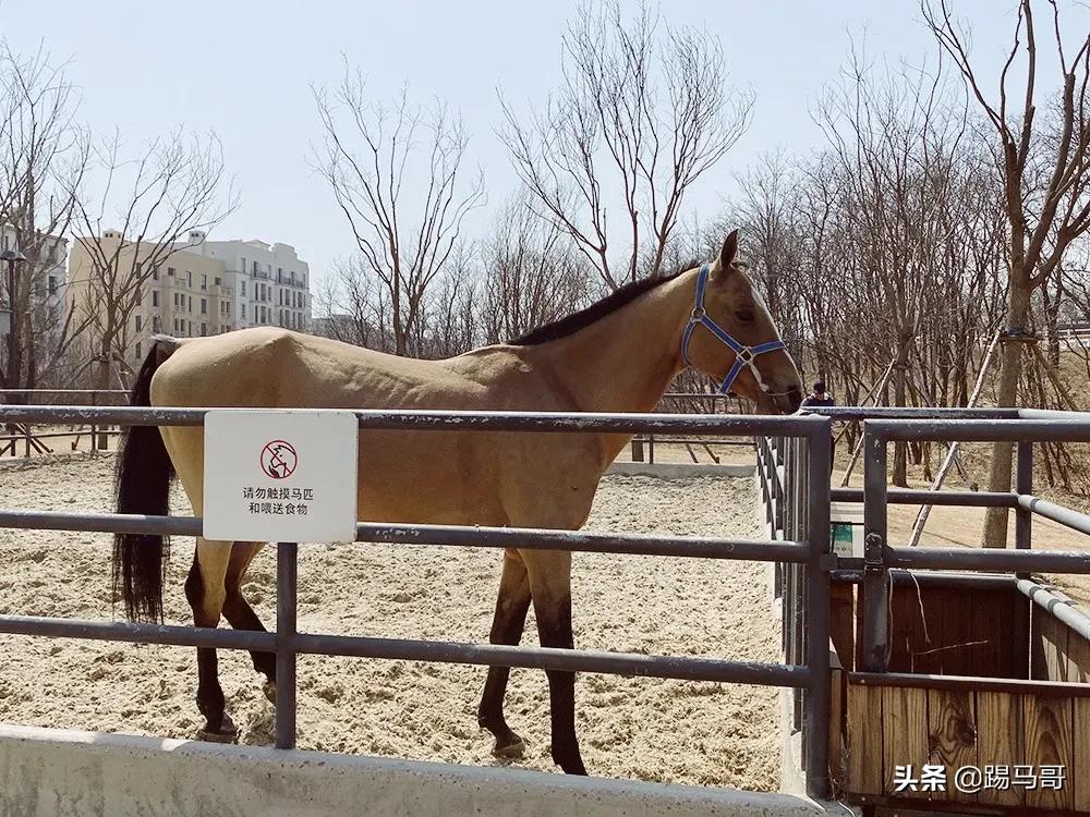 阿那亚必打卡地,阿那亚拍照打卡地