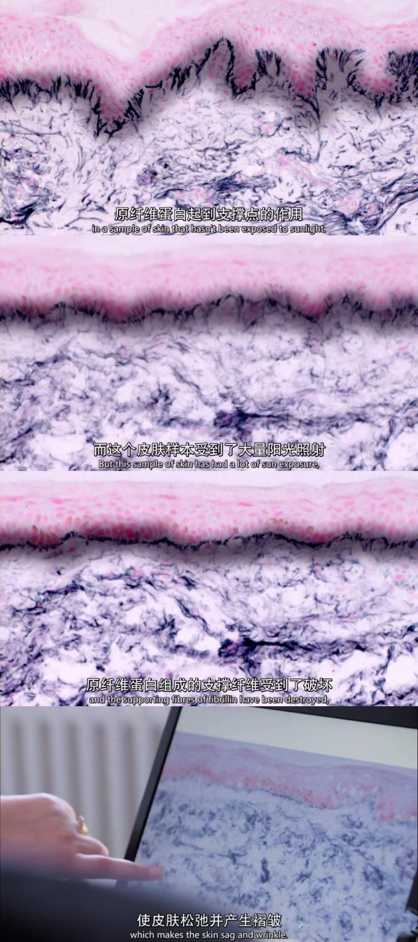 水乳没必要买太贵买什么,水乳有必要买贵吗