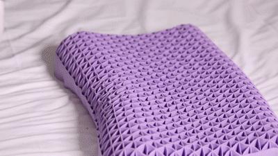 49元包邮泰国天然乳胶枕,真正的泰国乳胶枕品牌