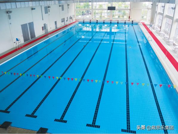 游泳池知识大全,你知道泳池有多干净