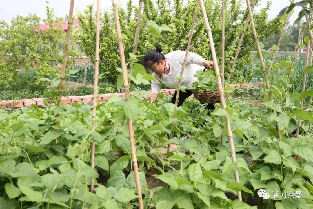 奈曼扶贫一点通,奈曼百企帮百村扶贫