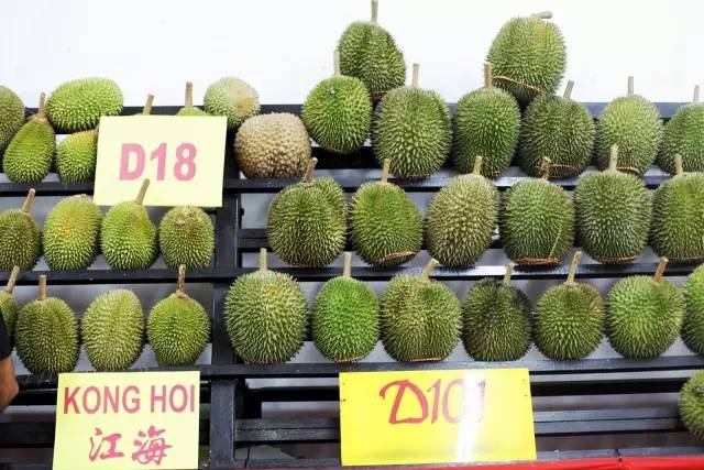 马来西亚旅游免签吗现在,马来西亚免签过关攻略