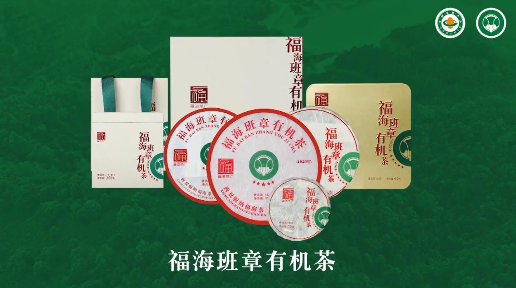 福海茶厂早春毛尖,福海茶厂春茶价格