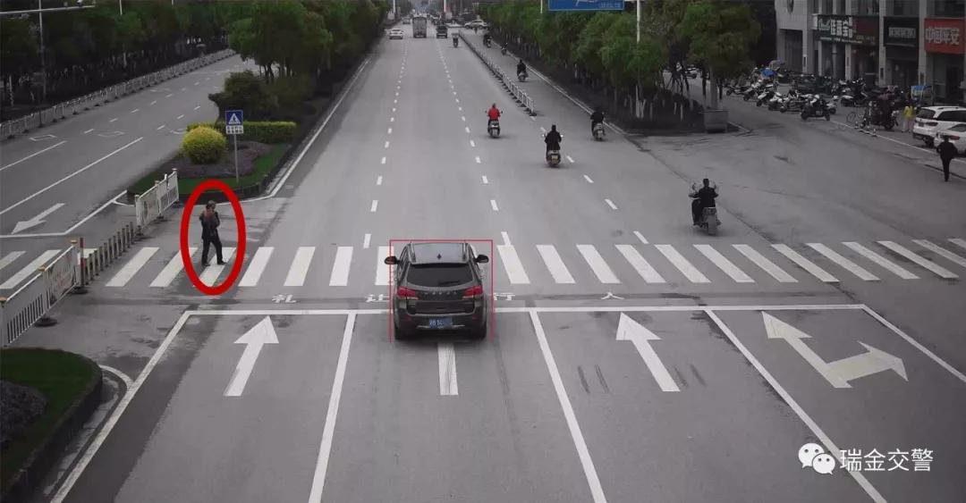 瑞金一大批车主被曝光！看看你“上榜”了吗？