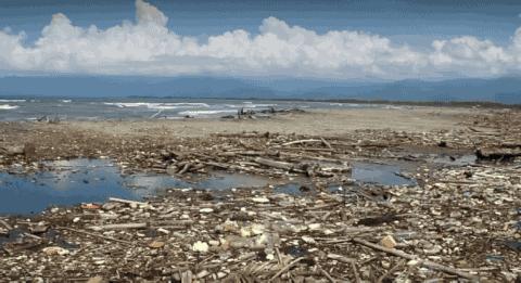 彭于晏苏有朋,彭于晏和苏有朋