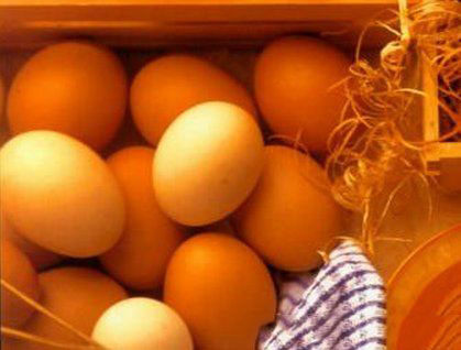 美颜靓丽祛斑一个鸡蛋就搞定8个鸡蛋美容方法让你变更美