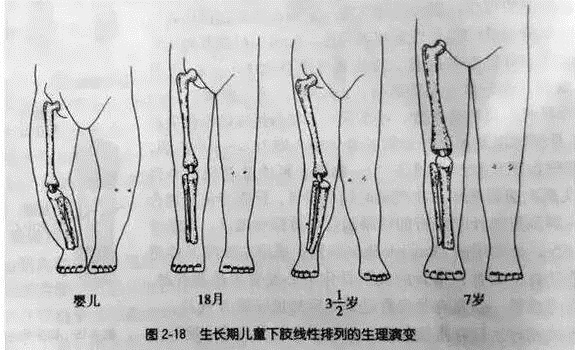 想让宝宝拥有笔直大长腿？请停止人为扶站！