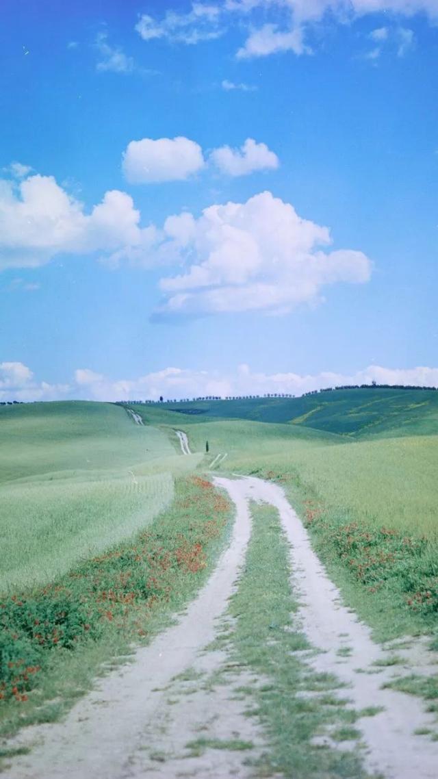 生如夏花完整版,生如夏花张靓颖完整版