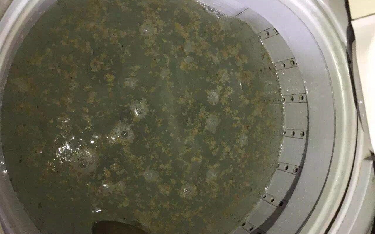 洗衣机三个月不洗比马桶还要脏,一个简单粗暴清洁洗衣机方法