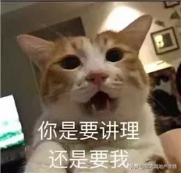 和朋友吵架了冷战怎么解决搞笑,和朋友吵架冷战想和解的视频