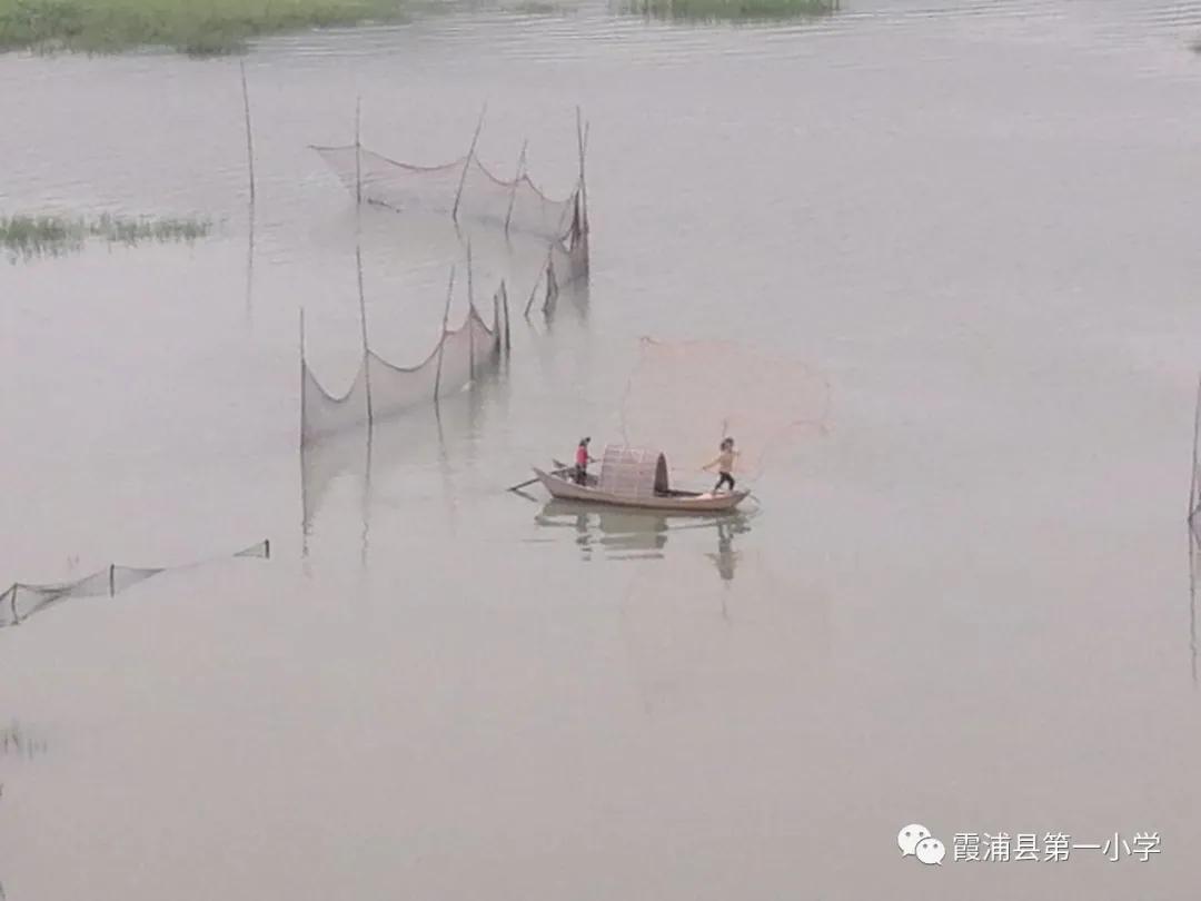 霞浦一中高一新生夏令营,霞浦县夏令营