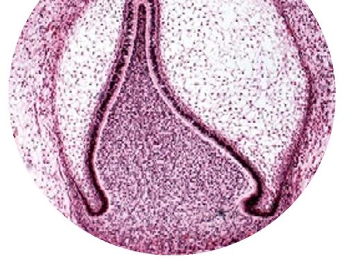 碘131治疗甲状腺癌有效吗,甲状腺癌术后多久碘治疗合适