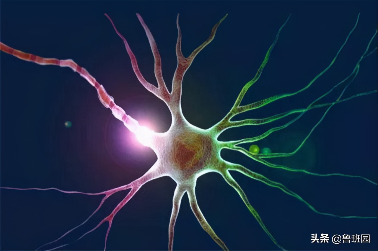 用溴甲烷熏蒸地多长时间效果最佳,溴甲烷熏蒸什么时候取消