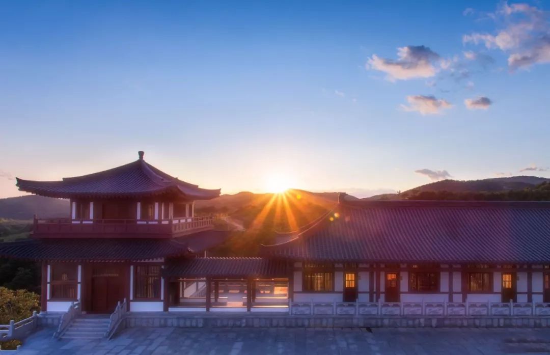 大连森林花海,大连花海旅游攻略