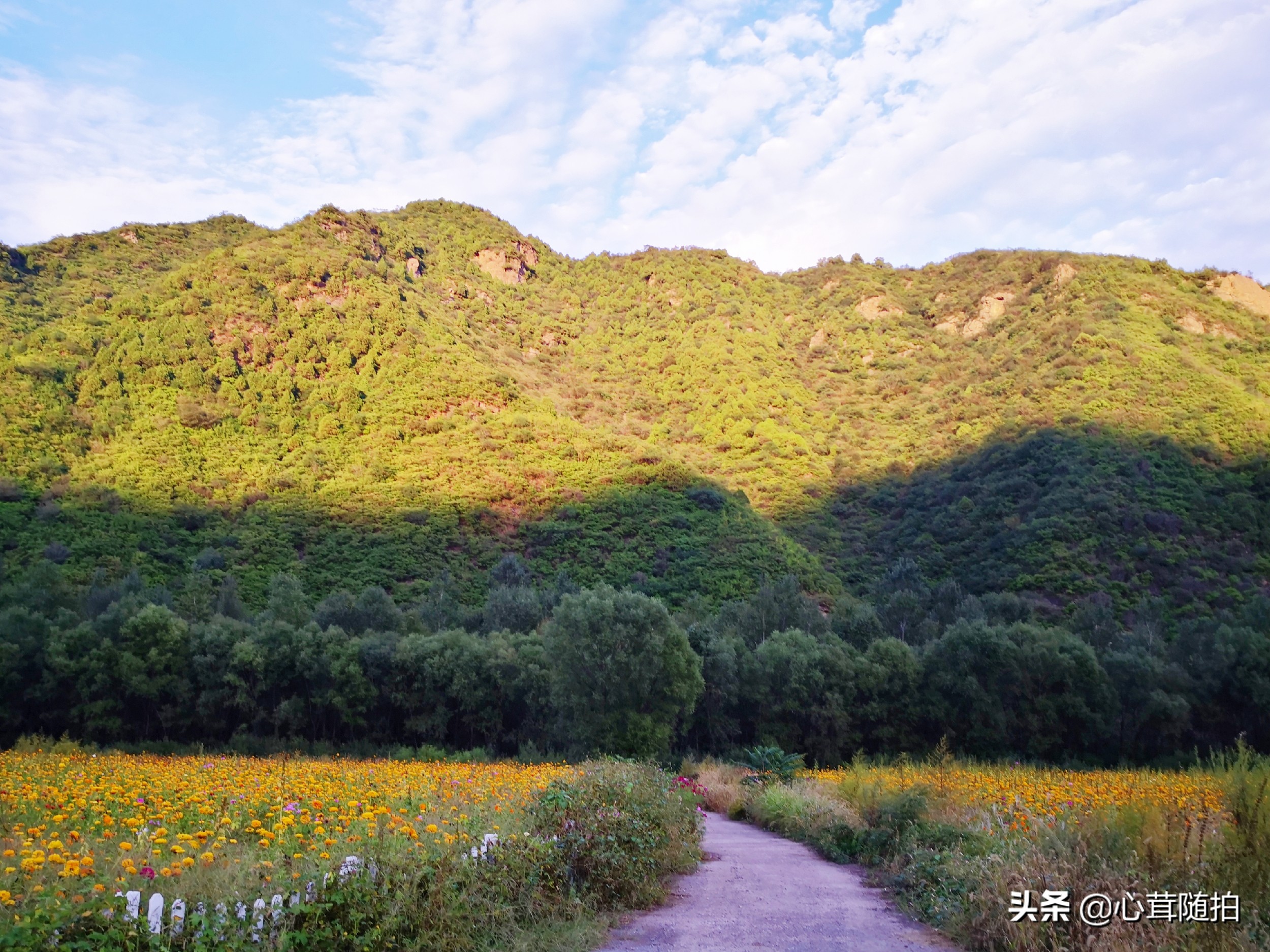 自驾白河湾,白河湾自然风景区自驾