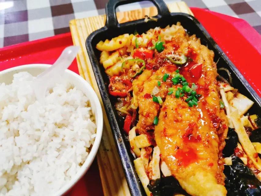 湖北即将新建的大学,湖北将整体搬迁的大学