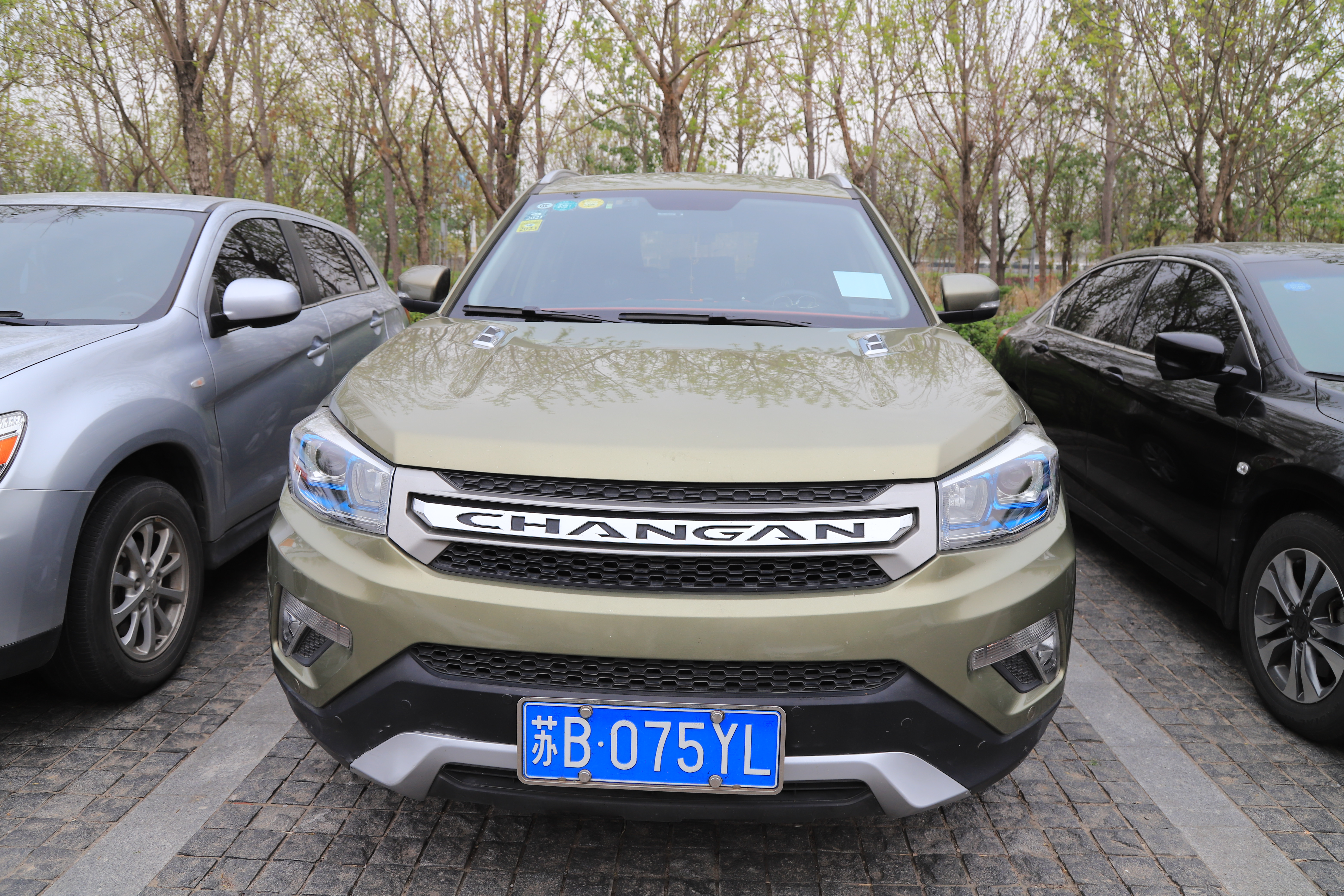 新奇好玩的公园,西青郊野公园开放最新通知