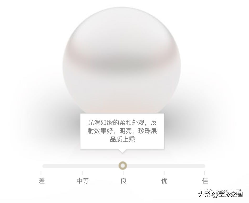 智识珍珠07|南洋白珠：珍珠界的“禁欲系”代表