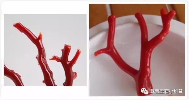 海底红珊瑚图片大全,千年珊瑚