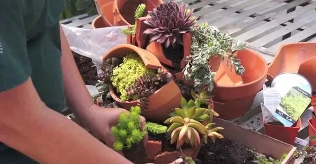 摔碎的花盆别扔做成盆栽超精美,打碎的花盆怎么变成宝
