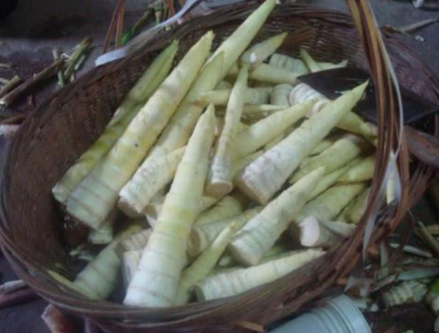 哪种笋最好吃又实用,最好吃的笋是哪种