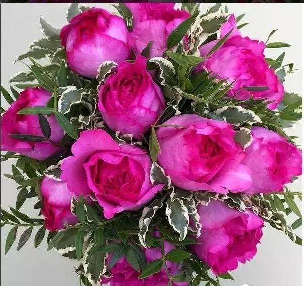 每天学习一点点女性小常识,每天学习一点点科普一下