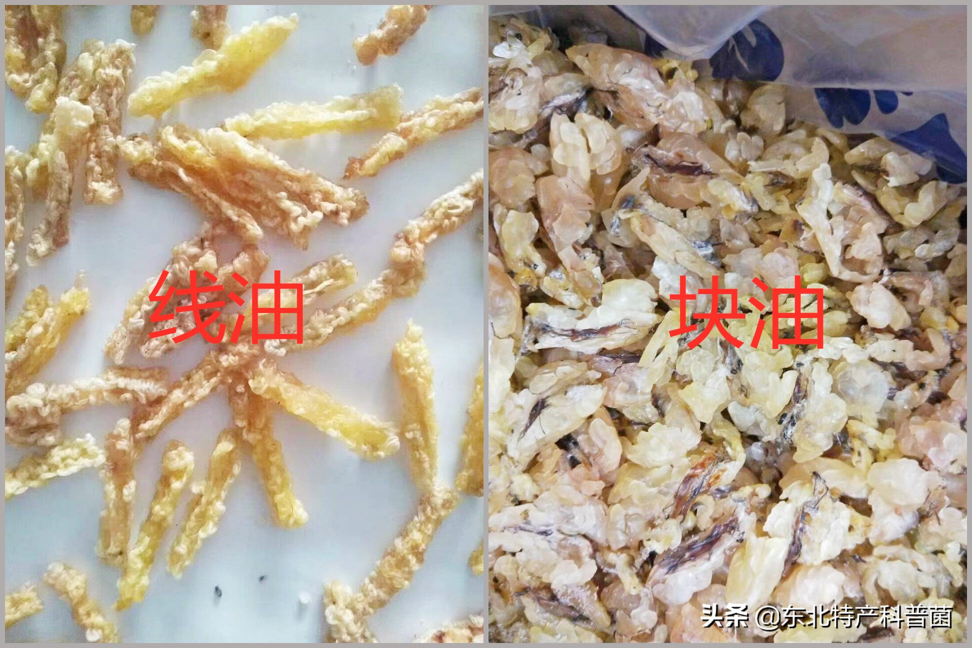 东北“新三宝”之首，营养价值竟比野山参还高