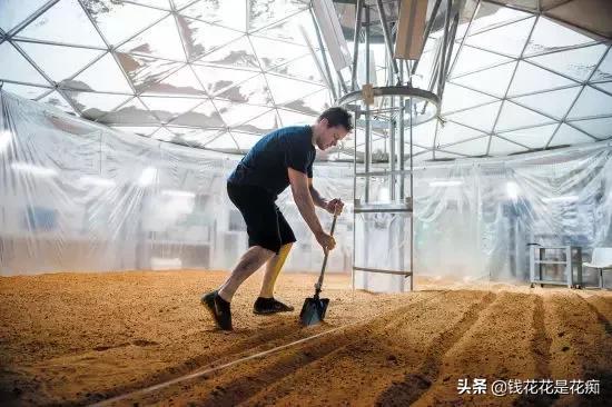 藜麦高端,藜麦最高品质