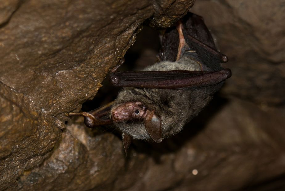 丽水白云山最新视频,丽水莲都区白云山公园山洞