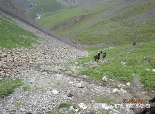 玛纳斯探奇之旅,新疆探秘伊犁