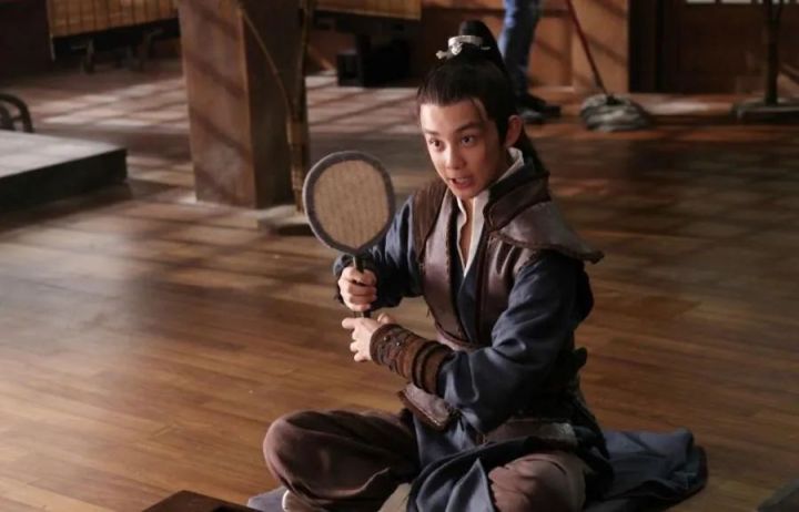 琅琊榜飞流结局和小说一样吗,琅琊榜真正结局梅长苏被飞流救了