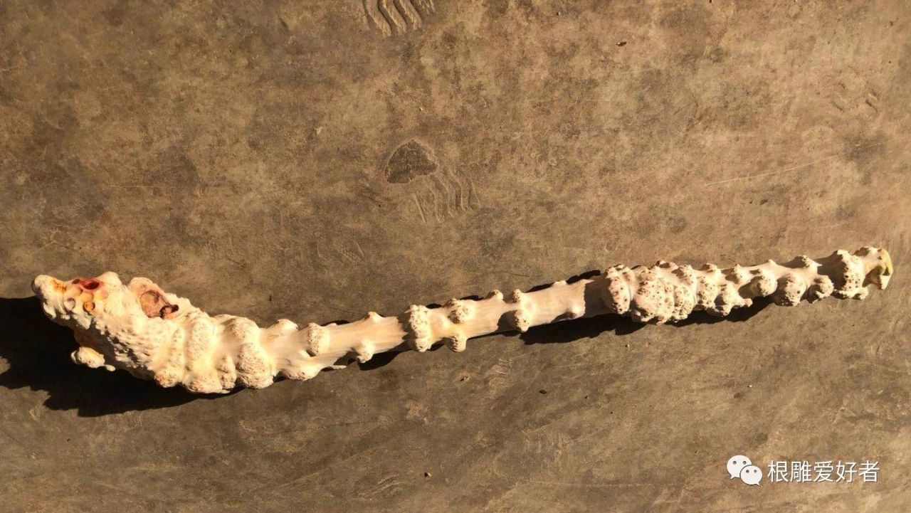 根雕茶壶作品图片,根雕艺术品长嘴茶壶