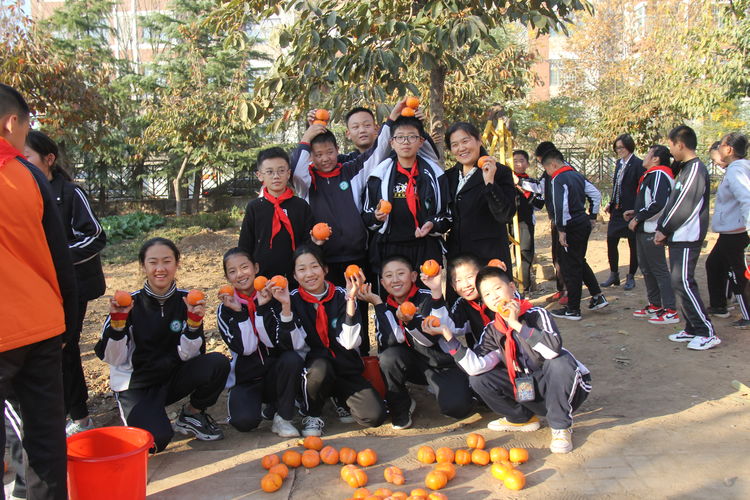 昌乐齐都实验学校：举行第四届“柿子熟了”采摘节活动