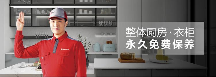 樱花厨房家用,sakura樱花厨房电器