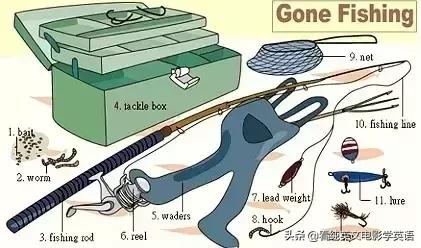 36张图让孩子记住所有英语,超实用的英语词汇图英语学习必备