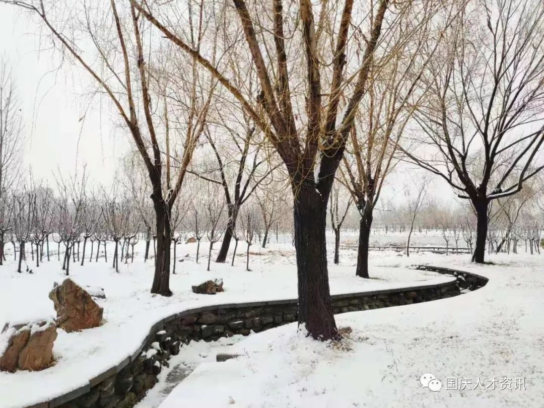 国庆人才市场消息,国庆人员招聘原则