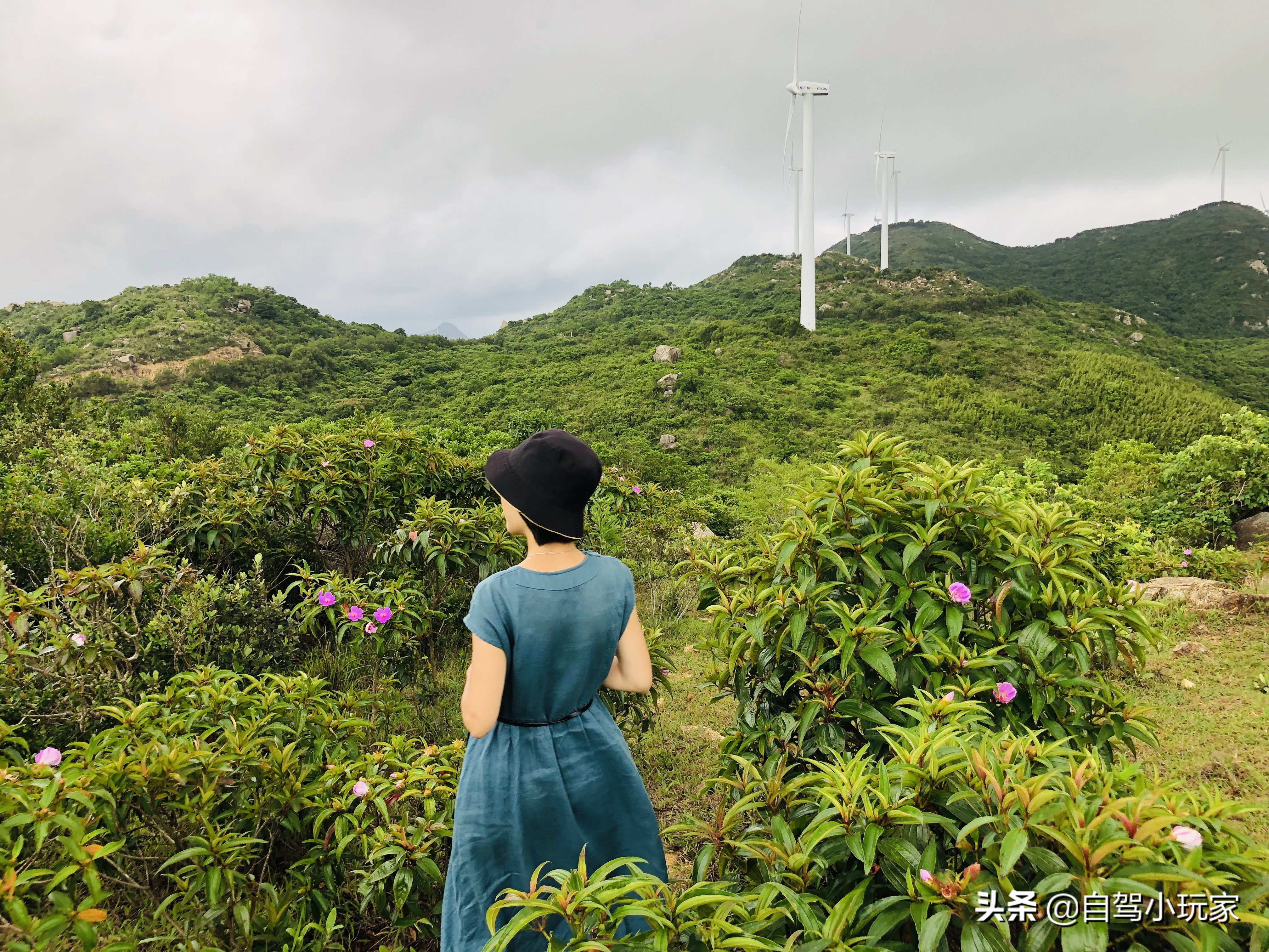 广州好玩的地方小众,广州小众景点排行榜