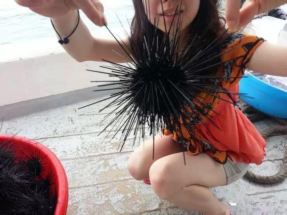 开海特价海鲜,开海的海鲜视频