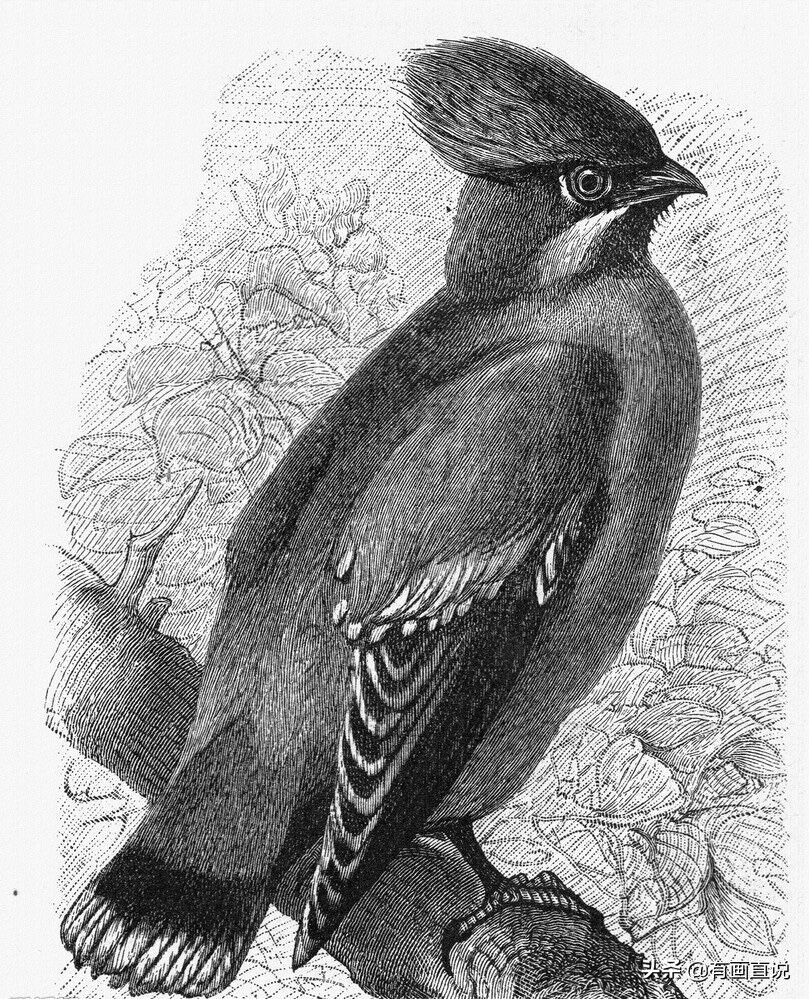 创意素描图片临摹大全4k,零基础简单素描画临摹